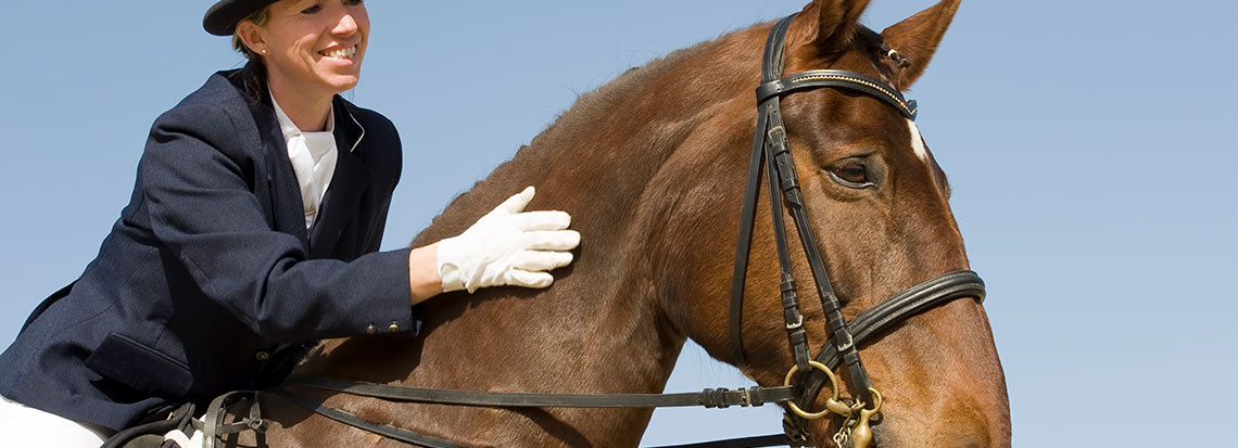 dressur-trainer-baden-wuerttemberg-bayern.jpg