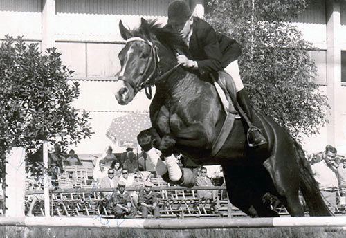dietmar-naeher-springen