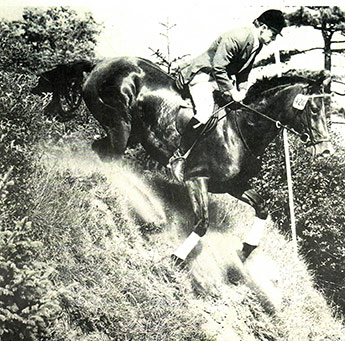 Springen Ausbilder