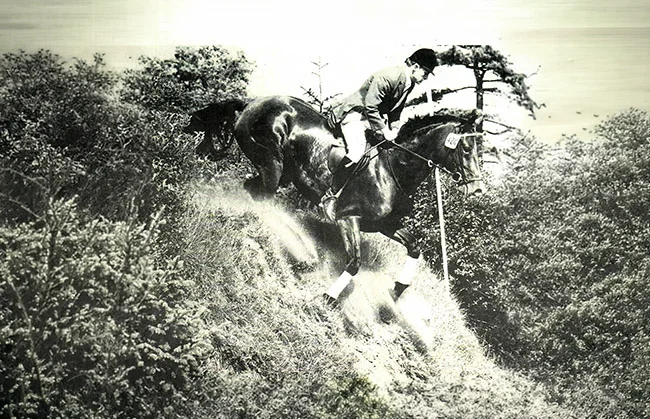 Reitlehrer für Dressur, Springen, Vielseitigkeit