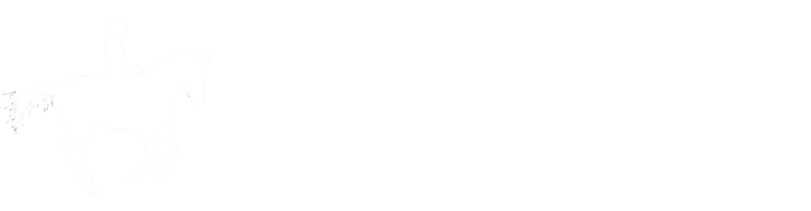 Reitunterricht für Springen und Dressur auf der schwäbischen Alb, Reutlingen & Tübingen